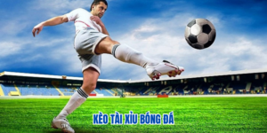 keo tai xiu bong da thumb