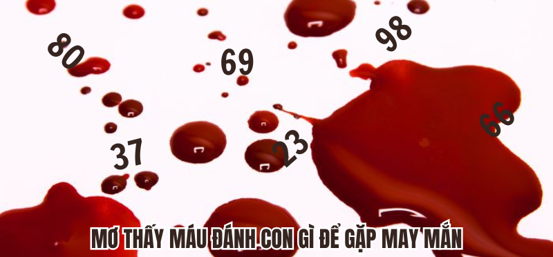 Mơ thấy máu đánh con gì để gặp may mắn tham gia ngay 78WIN